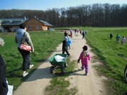 Ukliďme Česko - ukliďme cestu do lesa